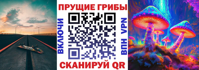 Псилоцибиновые грибы Cubensis  Анадырь 